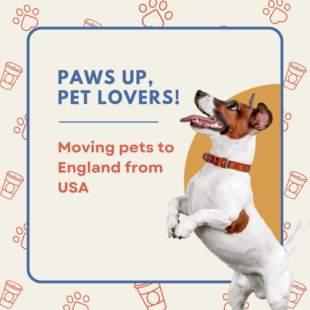 petstoengland's tweet image. Planning to move your pets to England from the USA? Let Pets To England handle all the details, ensuring a smooth and stress-free journey for your furry friends! 
petstoengland.com #PetsToEngland #MovingPets #PetTravel #PetRelocation #USAToEngland #petservices