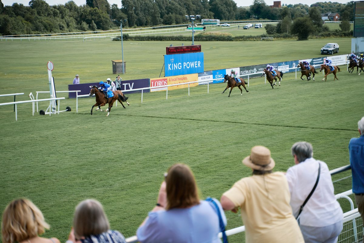 Chamber Newsroom tweet media