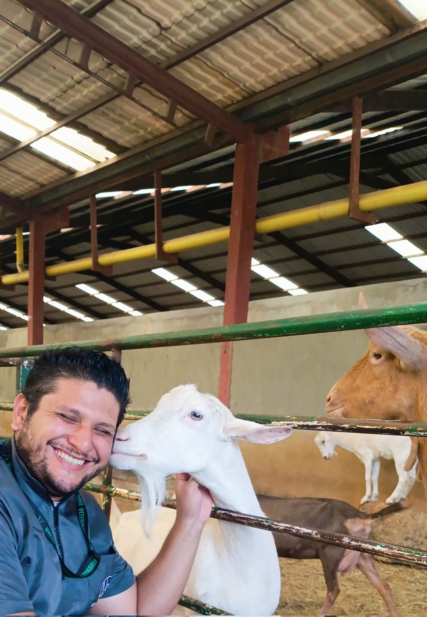 Luis_casifit's tweet photo. Renovando energías 🥰🥰🥰🐐🐐🐐 https://t.co/MMKeiQlhCE