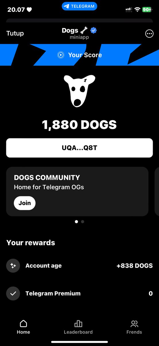 AndreAndre49091's tweet image. Join yang belum join kemungkinan jacpot besar klik link :

t.me/dogshouse_bot/…

#coindogs  #dogs #AirdropCrypto  #btc #crypto