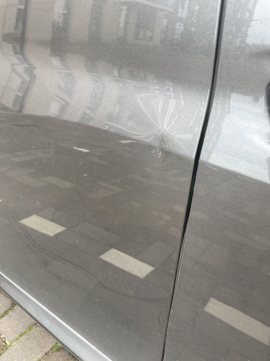 Carmen Felix tweet media