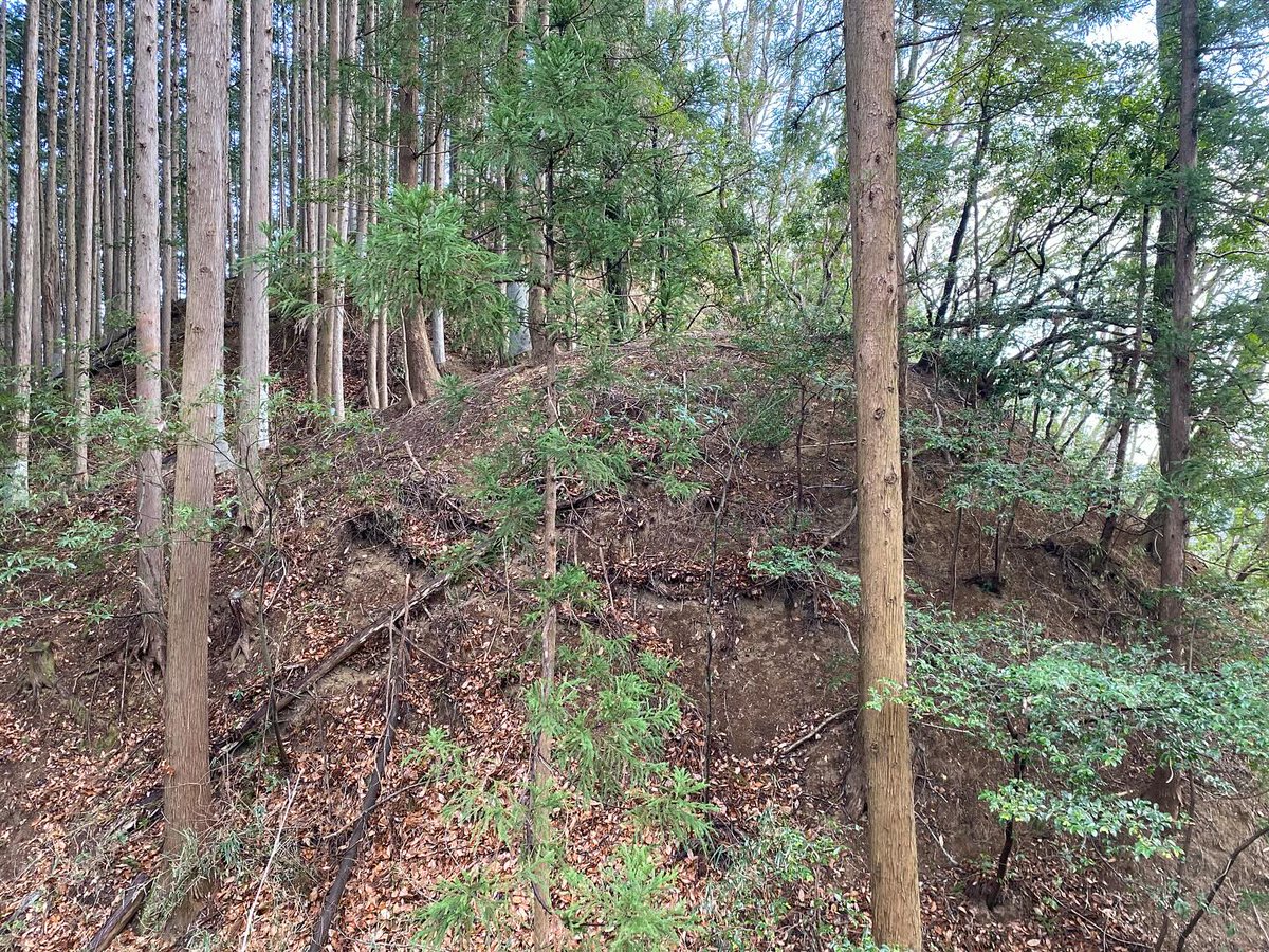 MorandIsabelle's tweet photo. 下野・上南摩城（上南摩上の城/竜蓋山城）
①登城口のある広嚴寺の山門
②西尾根の堀切
③5郭から主郭方向
④5郭下（主郭側）の堀切
⑤主郭下の更に下の堀切
⑥2郭と主郭城塁
⑦広い主郭
⑧主郭の虎口
⑨ ⑧の先は横堀になっている
⑩主郭の城塁。この景色は特に凄かった✨

#城 #上南摩城 #上南摩上の https://t.co/efAh8DMEhL