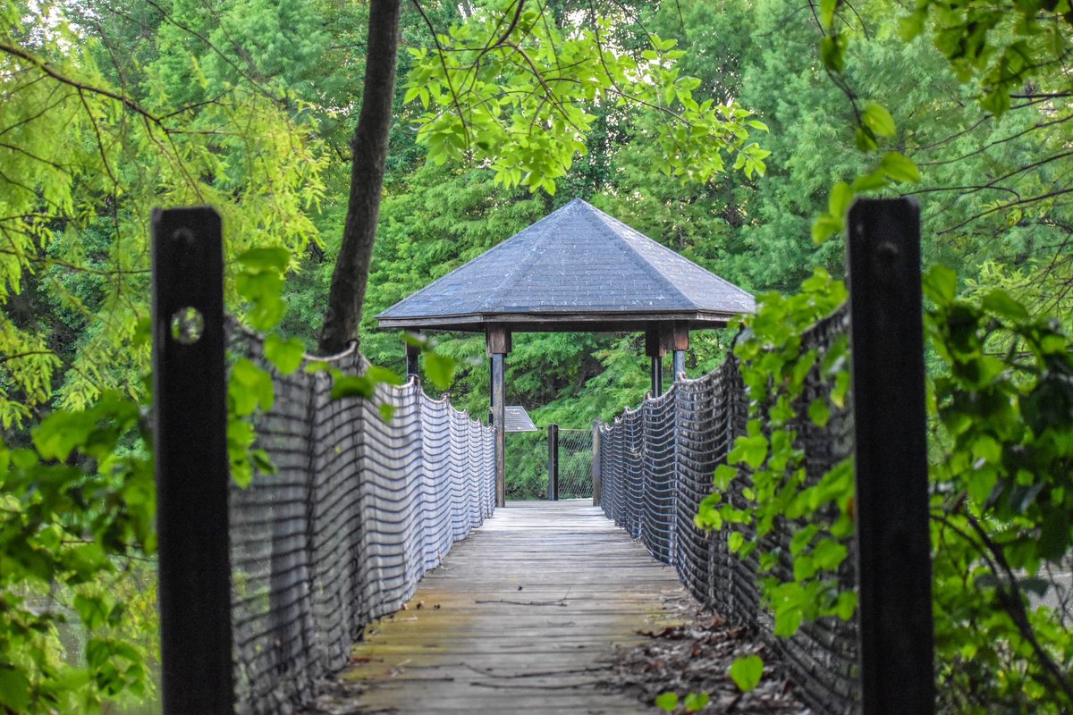 DaviessFiscalCo's tweet photo. The magic of the woods.
#DaviessCounty #Owensboro #Nature #Kentucky #OCTC #VirginiaMilesNatureCenter #AudubonSociety https://t.co/zSemlfytYU