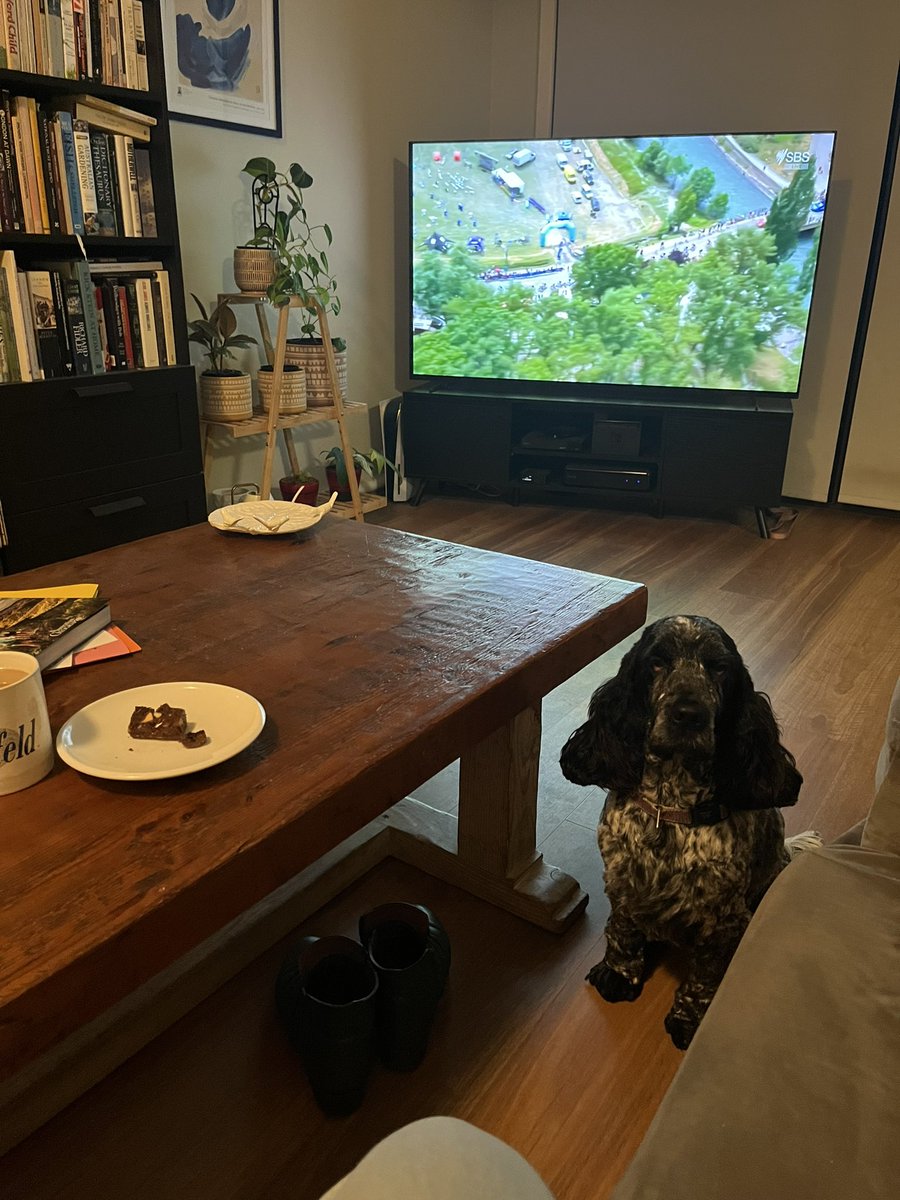 Smithy_kath's tweet photo. Coco #tourdog would rather have my #toursnack of Tia Maria coffee with choc brownie than watch the race. Disgraceful. #couchpeloton https://t.co/pI4TkSuXpn