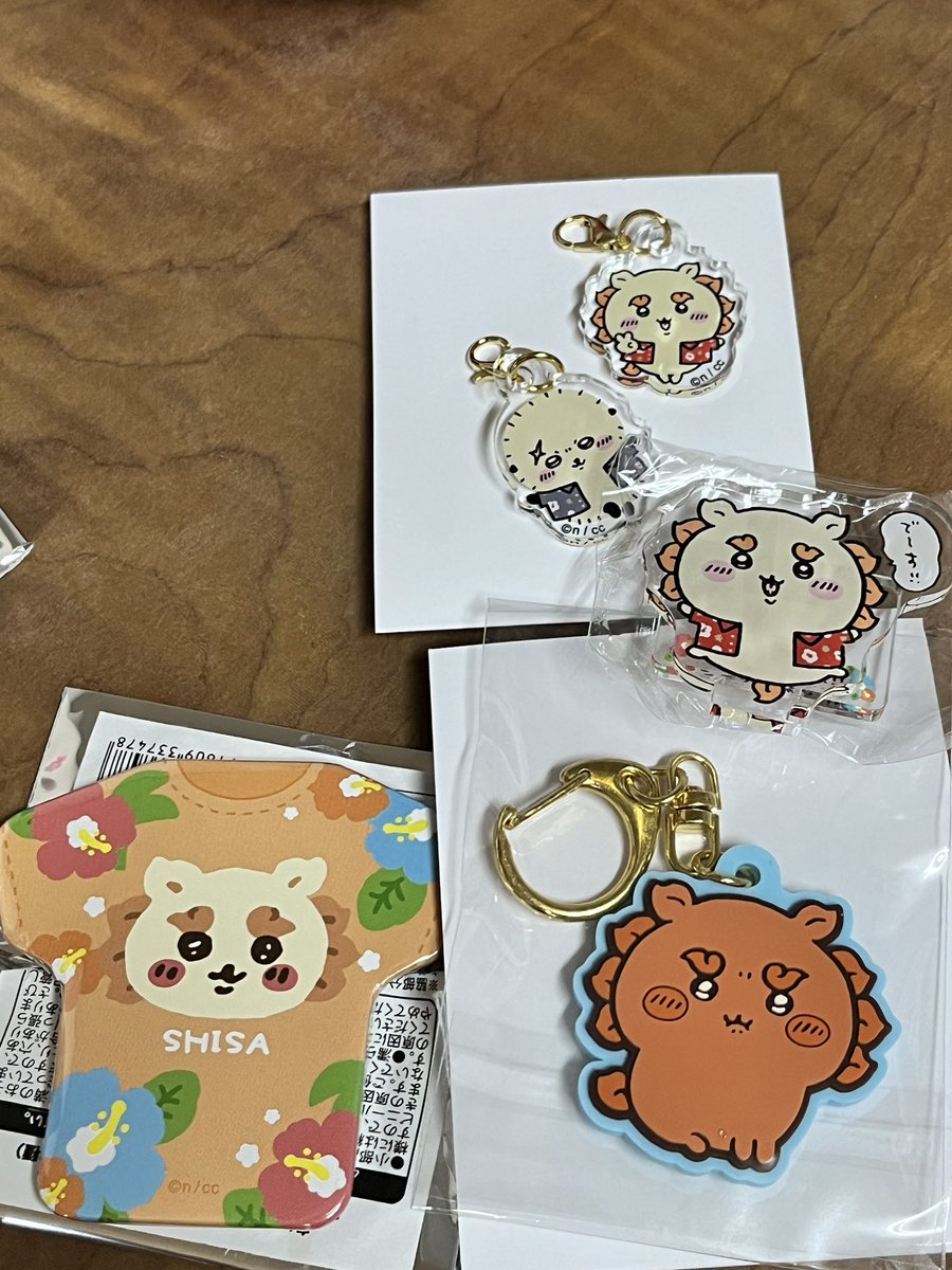 シーサーちゃんのところにも連れて行っていただいてウルトラハッピー😭🙏可愛すぎて沖縄旅行で1番の爆買いをしてしまった 財布の紐ゆるゆる ブラインドもシーサーちゃんいっぱい出てハッピーだ、、🥹🥹🥹