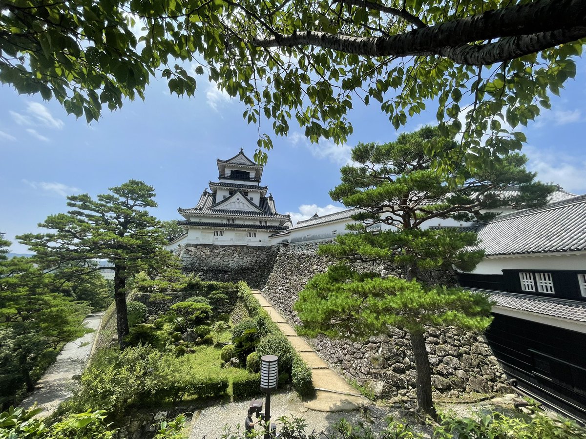 d_d__d_d__'s tweet photo. みんな久しぶり🥹🥹🥹実はおじさんは、今旅行で高知県にいる🤓🤓🤓高知市エリアと足摺岬を満喫してきたよ🥹🥹🥹普通に暑すぎ🥵🥵🥵 https://t.co/3nn0Komx0T