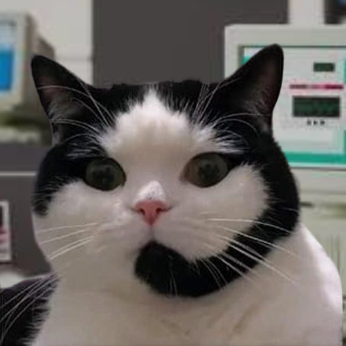 SupportCat_Sol's tweet photo. Meow Meow , Good Morning https://t.co/ehU4BRl0su how can i take your solami order?

6nkQmcwMniskg8wfFebSiYe2se6719TbtgqyEqNZpump https://t.co/BwJSA8n1Vt