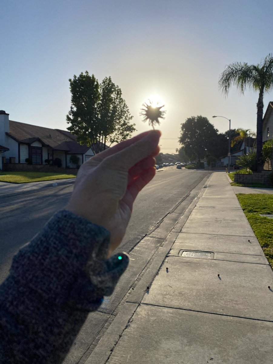 Laughingpearw's tweet image. Exercise and enjoy a healthy life; do outdoor sports and breathe fresh air; life lies in sports and happiness comes from nature.