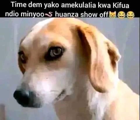 PeterMu88313749's tweet photo. @C_NyaKundiH https://t.co/oWiTXgHeoY