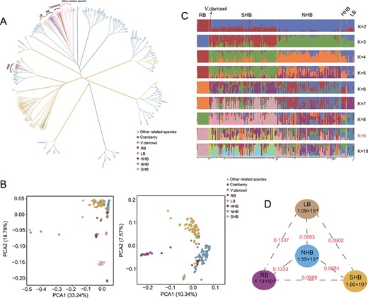 Hortres's tweet photo. Blueberries' genetic diversity and breeding history have led to improved climate adaptability and fruit quality. #BlueberryBreeding #GenomeStudies #FruitQuality @OxfordJournals @Hortres
Details:https://t.co/5NoNKjQlJt https://t.co/9w1Jhd9nJX