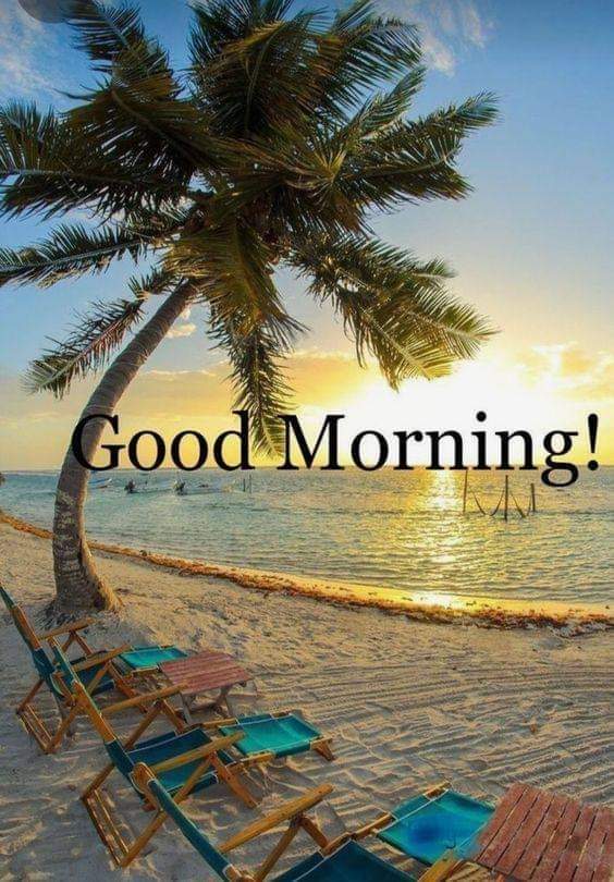 patane_thomas's tweet photo. Good Morning and Happy Friday All 🌞

Have an Awesome Day 🏝️ 🌊 🏄 https://t.co/Vn5AUeVz6z