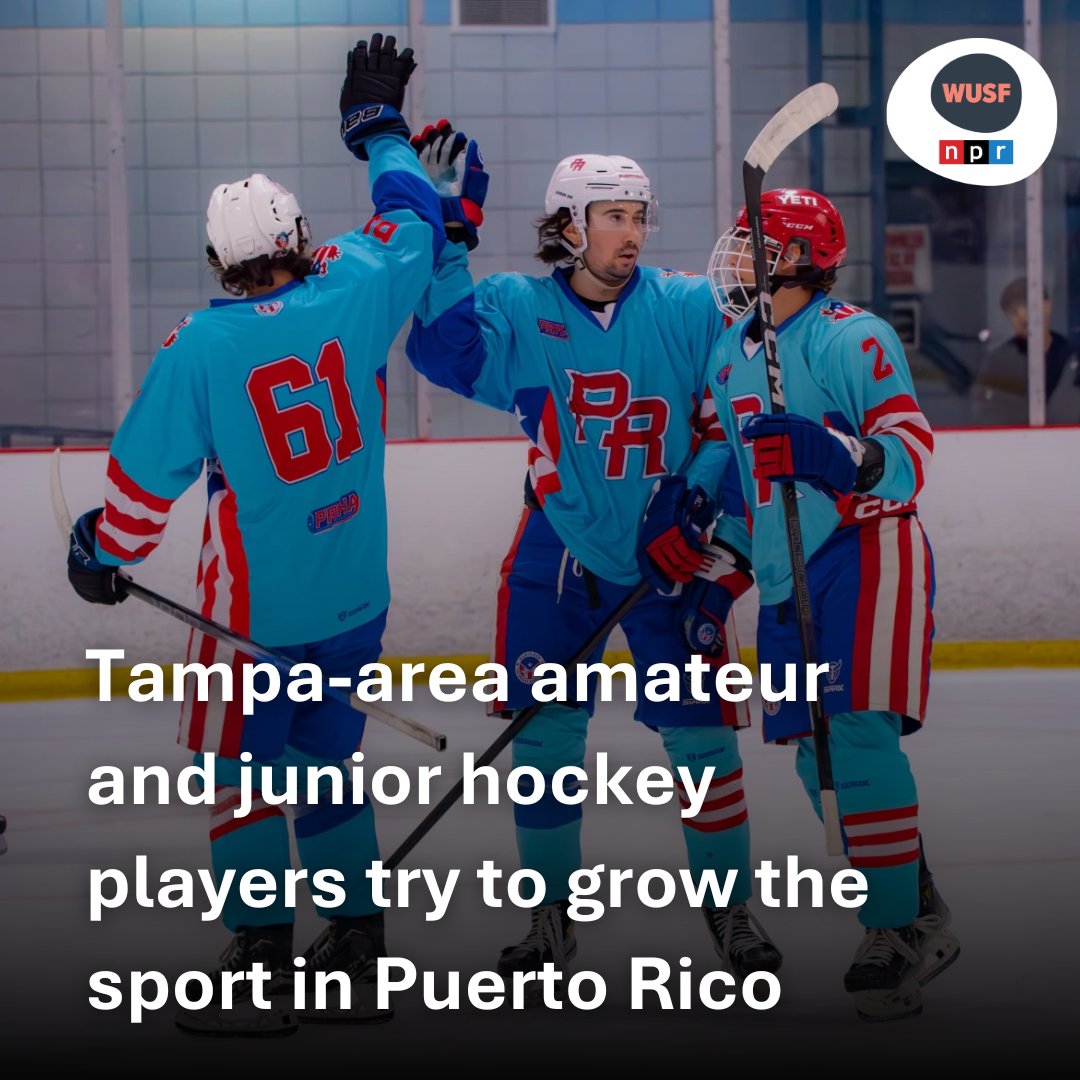 The national team formed in 2019 with 11 players. Now, the Puerto Rican Ice Hockey Association has over 200 registered members.
wusf.org/sports/2024-07…