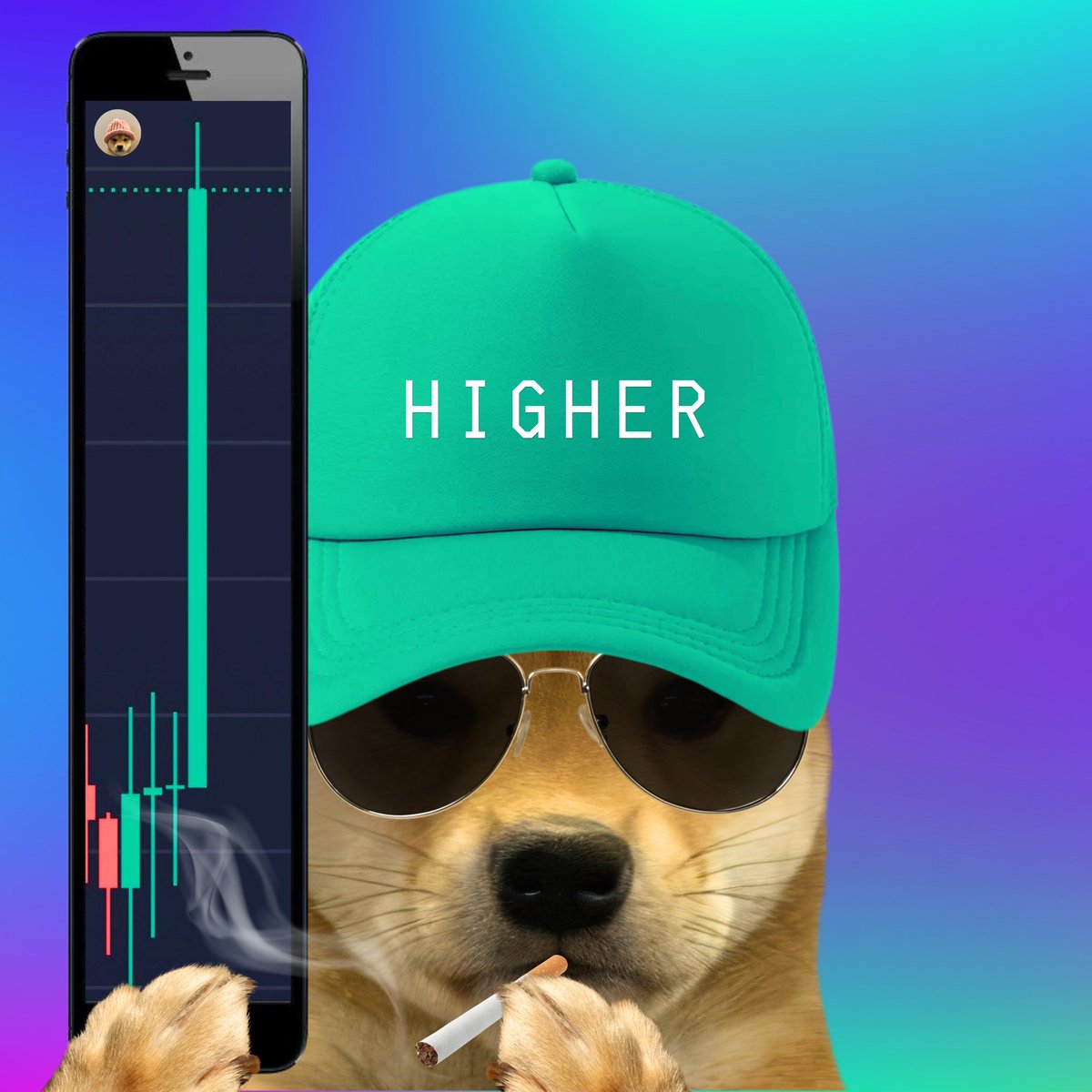 dogwifcoin's tweet image. Dog candle.

$WIF