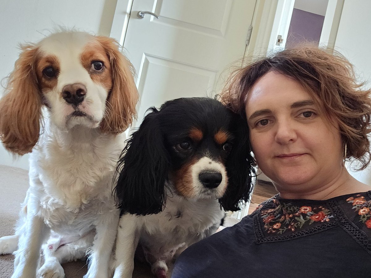 runawaygirl248's tweet photo. Dogs are the best anti-depressants in the world ๐ฅฐ
#myboysaremyworld #cavpack #WeekendIsAlmostHere https://t.co/GEoXraU7qQ