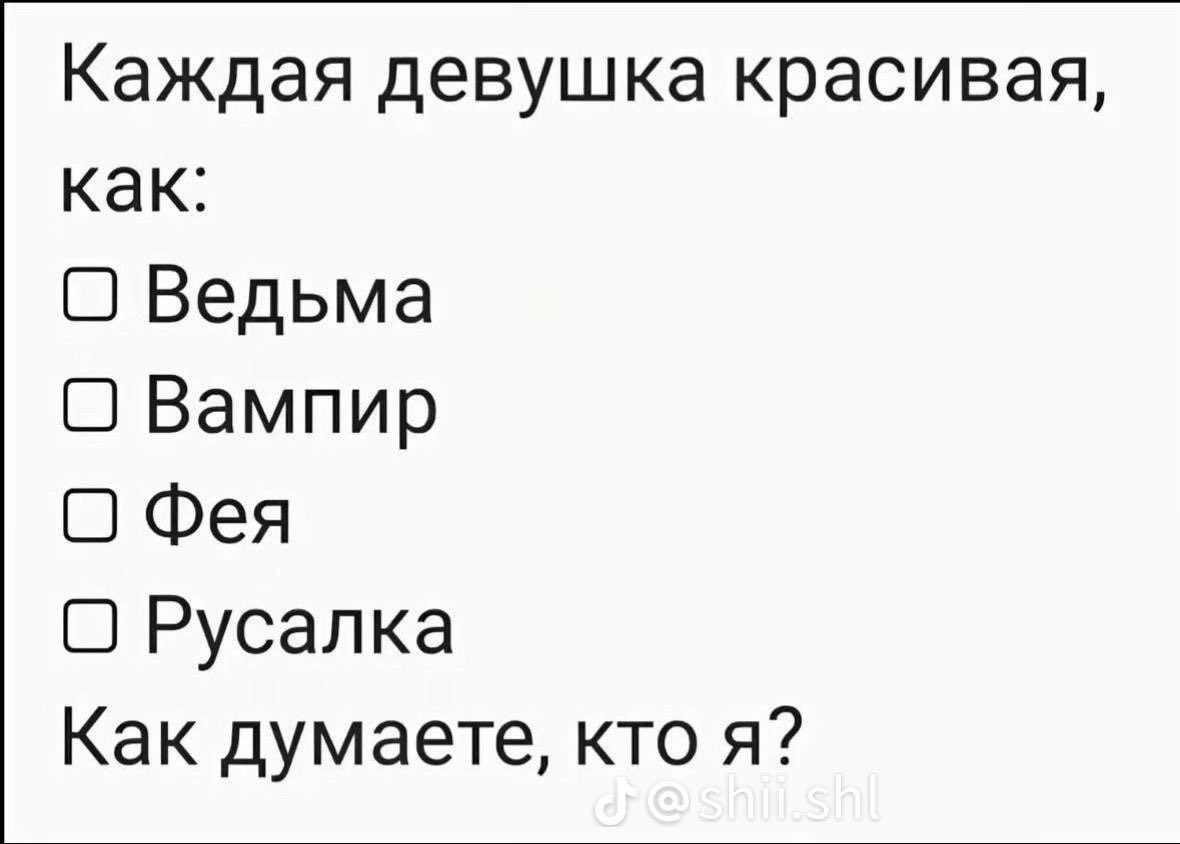 lina tweet media