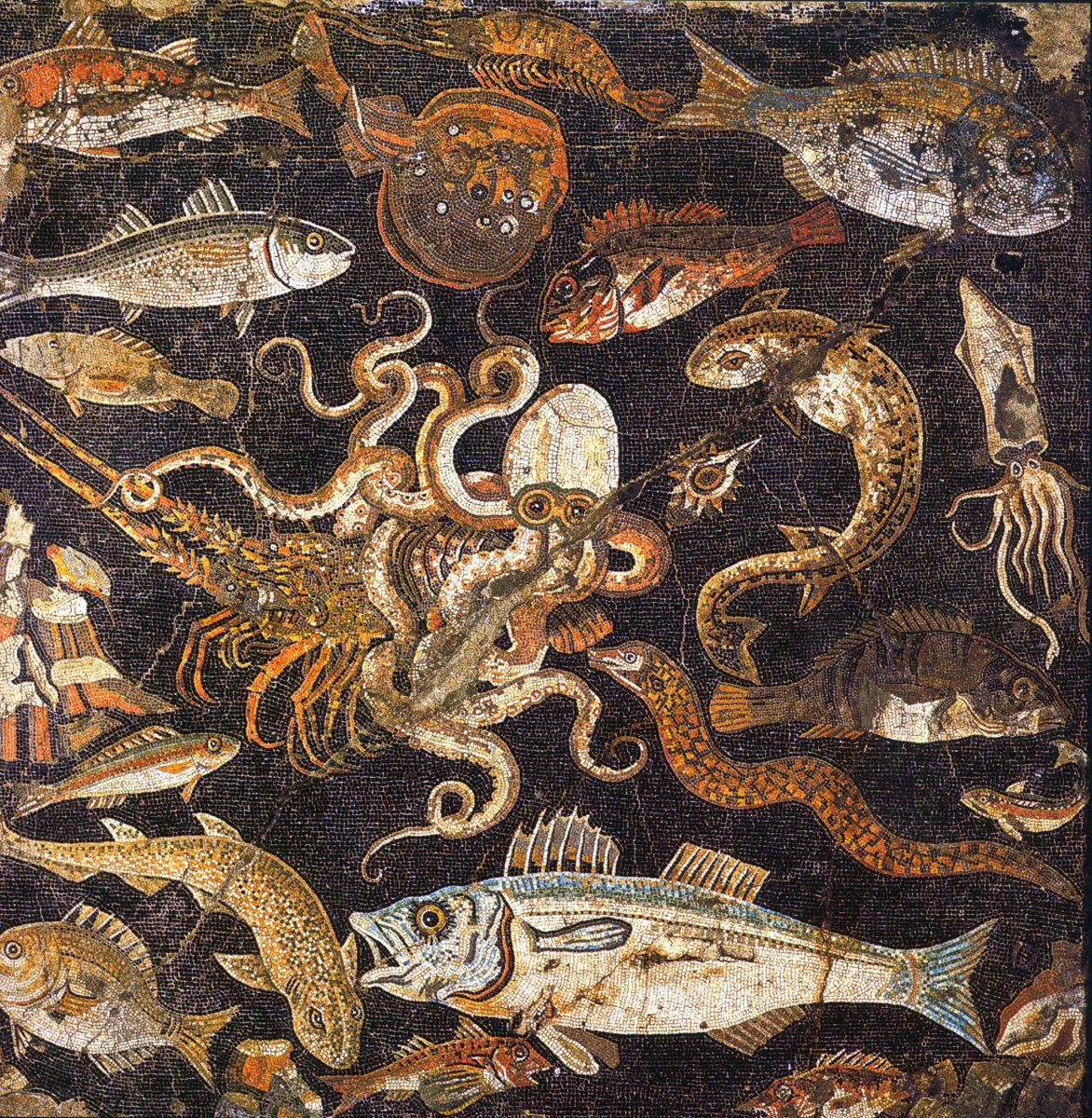 Sea Creatures Mosaic from the impluvium of the House of Geometric Mosaics, Pompeii Roman, 1st century AD.
