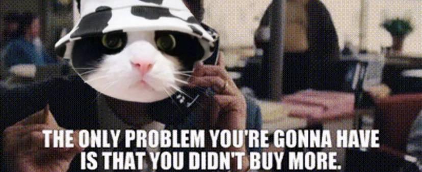 CryptoCraftClu6's tweet photo. @xiaweb3 @MooCatSolana $MooCat Moo https://t.co/gKLfabyLZz
