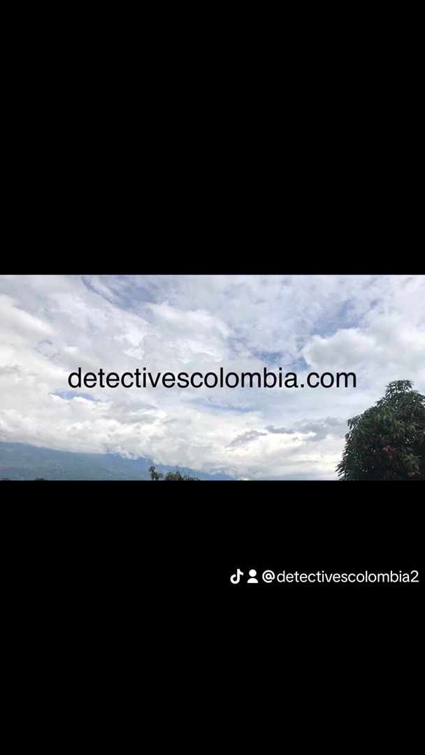 Detectivescol's tweet image. 