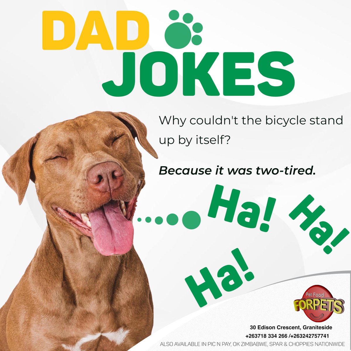 ForpetsF54287's tweet image. Time to stock up on your Dog Food.

#CareForYourFriend #Forpets #PremiumPetFood #HighQualityBrands #PetFood #DogFood #CatFood #CatShampoo #DogShampoo #PetShampoo #PetSupplies