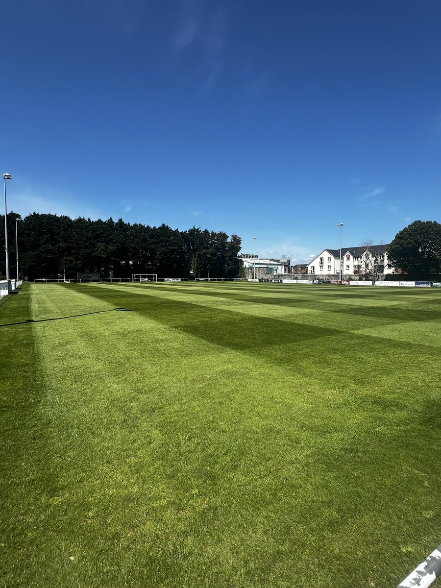 NewtonSpurs's tweet image. Life’s a pitch 🫡💙 

All credit to our team on getting the pitch looking like this… beautiful.

#COYS💙