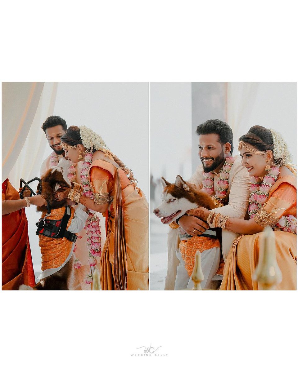 zoopgo's tweet image. From paw-some poses to capturing #candidmoments, here’s how to include your dog in your #weddingphotos. 🐾💕

#ZoopGo #ZoopGoServices #WeddingDay #IndianWedding #BrideAndGroom #WeddingInspiration #FurBabyLove #DogsOfInstagram #WeddingWithPets #DogLovers  #PetFriendlyWedding