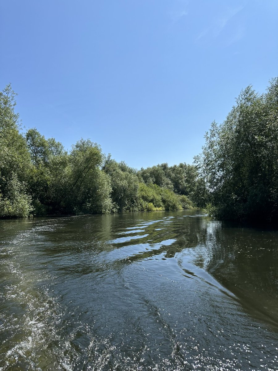 I’m on a boat 
As soon as we stop I’m getting in that delightfully green water.