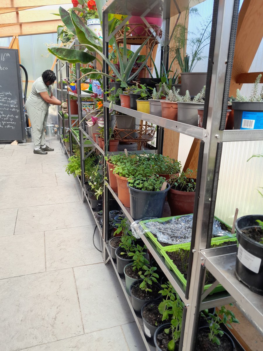 Hope Garden tweet media