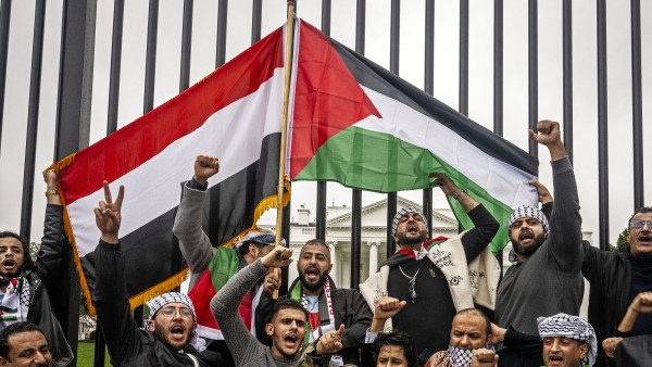 Yemen Is My Motherland tweet media