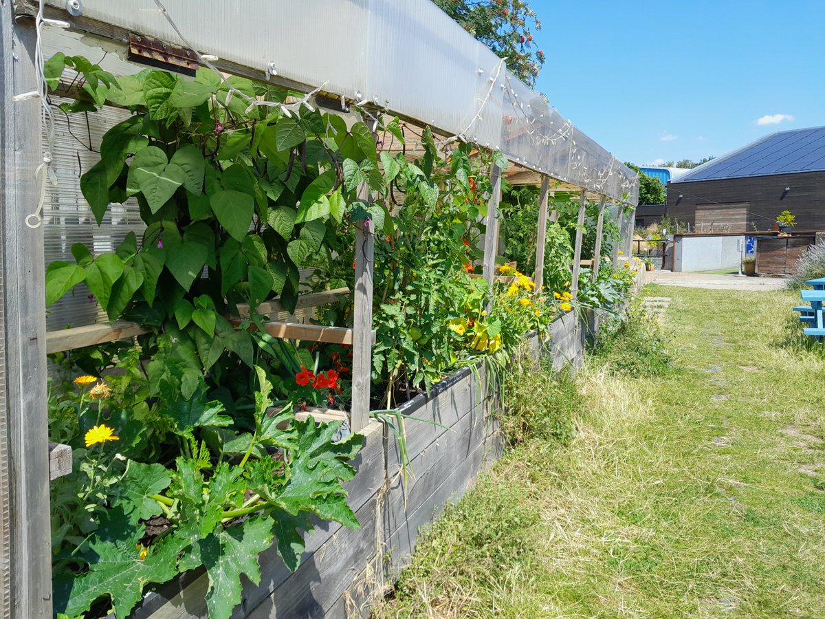 Hope Garden tweet media