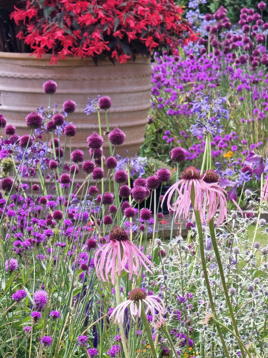 Bob Mehen tweet media