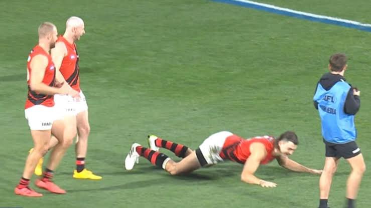 Sam King tweet media