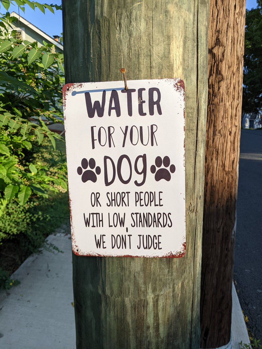 PJHSLibrary's tweet image. 5.6 Charity Miles for USO. The things you see... 😂

miles.app.link/e/OaJhV0ochLb