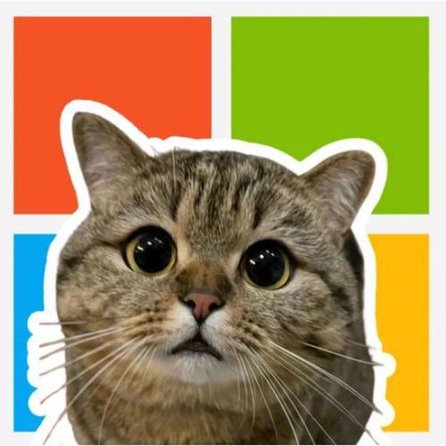 SillyKitson1's tweet image. Buy a car with $MC, new META on sol!

DMoKoppQu88gJTKSAMtXRoKC3pxXxtsvtvgrTZ2ypump