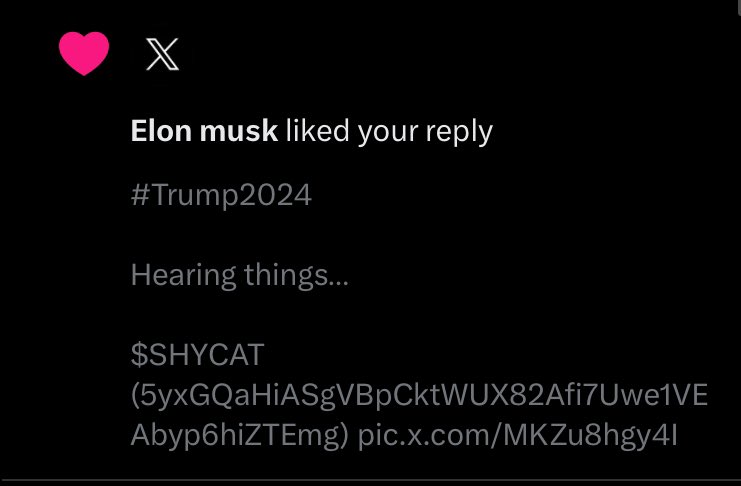 Elon Musk likes $SHYCAT