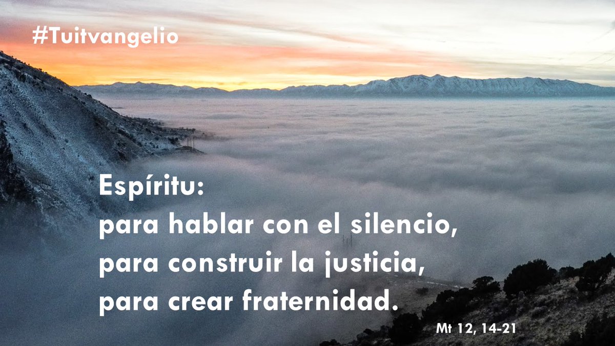 scarRomano's tweet photo. #20DeJulio
#Mt12,14-21
#Tuitvangelio
#EvangeliodelDía https://t.co/z6ldT8BhMD
