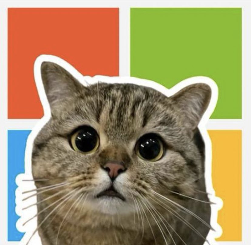 jiaowoguanxi's tweet image. Look at it. It's still at the bottom. It's rising. 🔝 Buy and hold it. It will surprise you. The target is 100m the fuck.
$MS
ca

DMoKoppQu88gJTKSAMtXRoKC3pxXxtsvtvgrTZ2ypump

Lfg！！！🚀🚀🚀