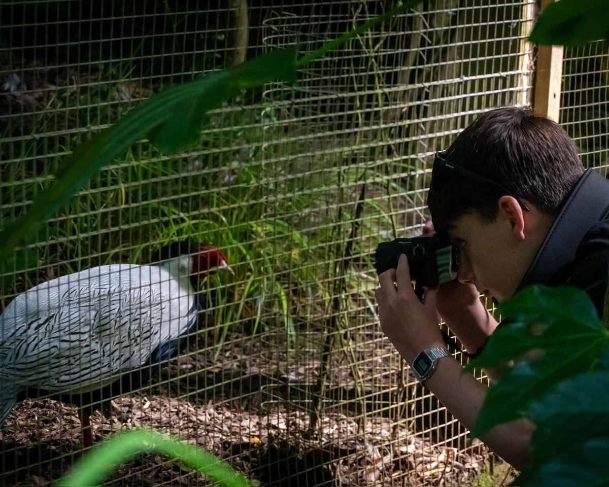 Wyke Creative 👨🏻‍💻👩🏼‍💻 tweet media