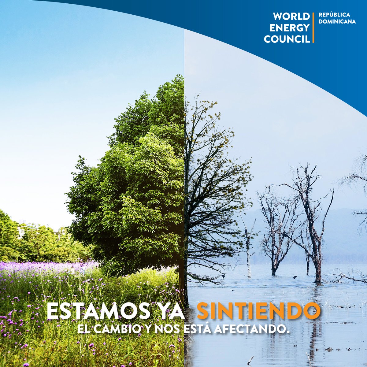 wec_rd's tweet photo. Como el Consejo Mundial de la Energía, capítulo dominicano, nos esforzamos en generar espacios, estrategias y acciones en la producción energética, que es una más dentro de las múltiples variables que generan cambios desfavorables en el clima (continua en hilo)... https://t.co/jcSWrJcLSK