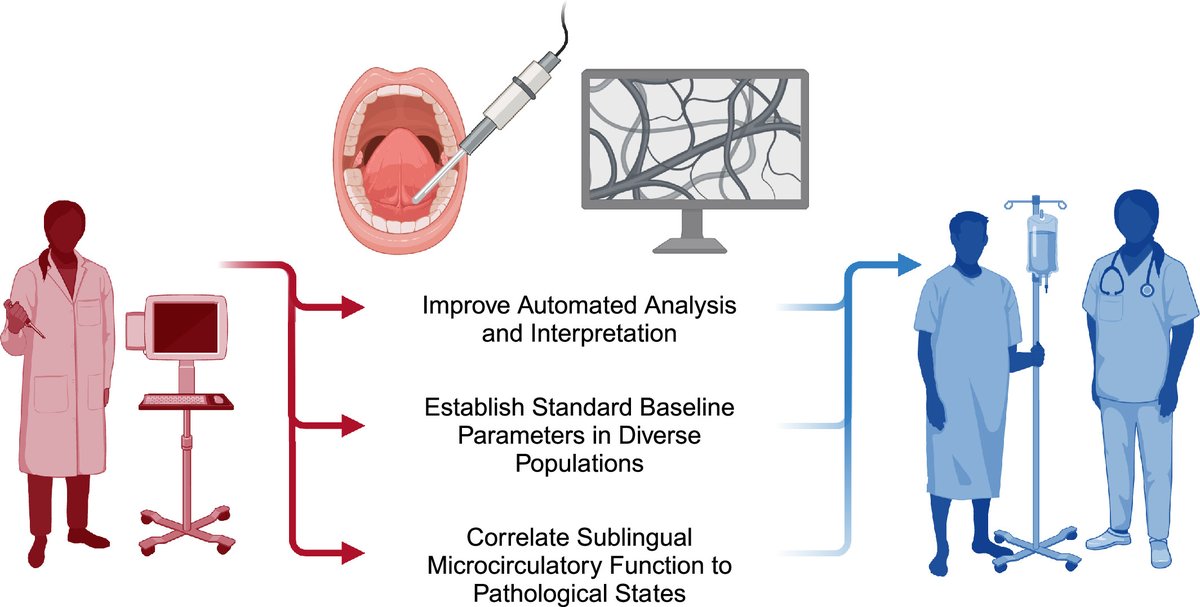 ajpheartcirc's tweet photo. Research in Focus 🔎
Sublingual microcirculatory function as a prognostic indicator of general microvascular health
~ Anna Kosmach, Timothy M. Sveeggen, Pooneh Bagher @unmc
https://t.co/qPBpAJ2ca5
#CoronaryArteryDisease #Microcirculation #Macrocirculation https://t.co/8EhzLPRJlz