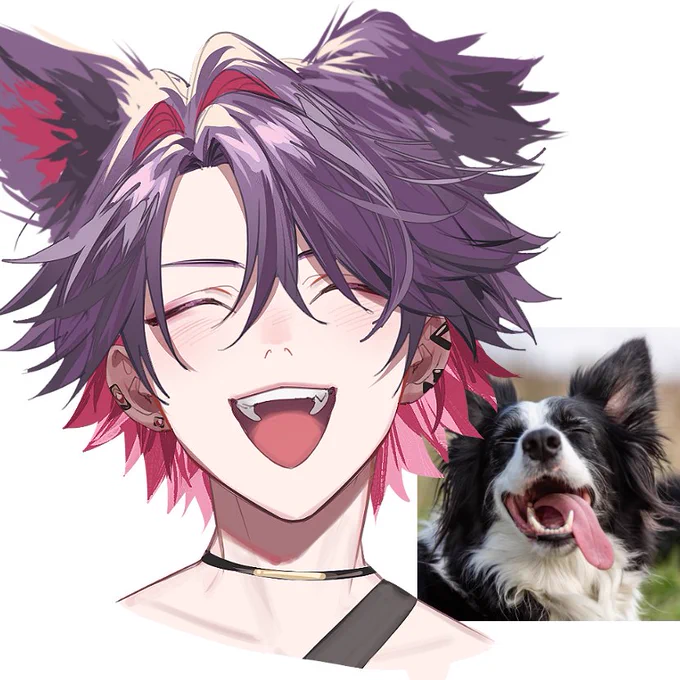 ボーダーコリー #わたらいらすと 