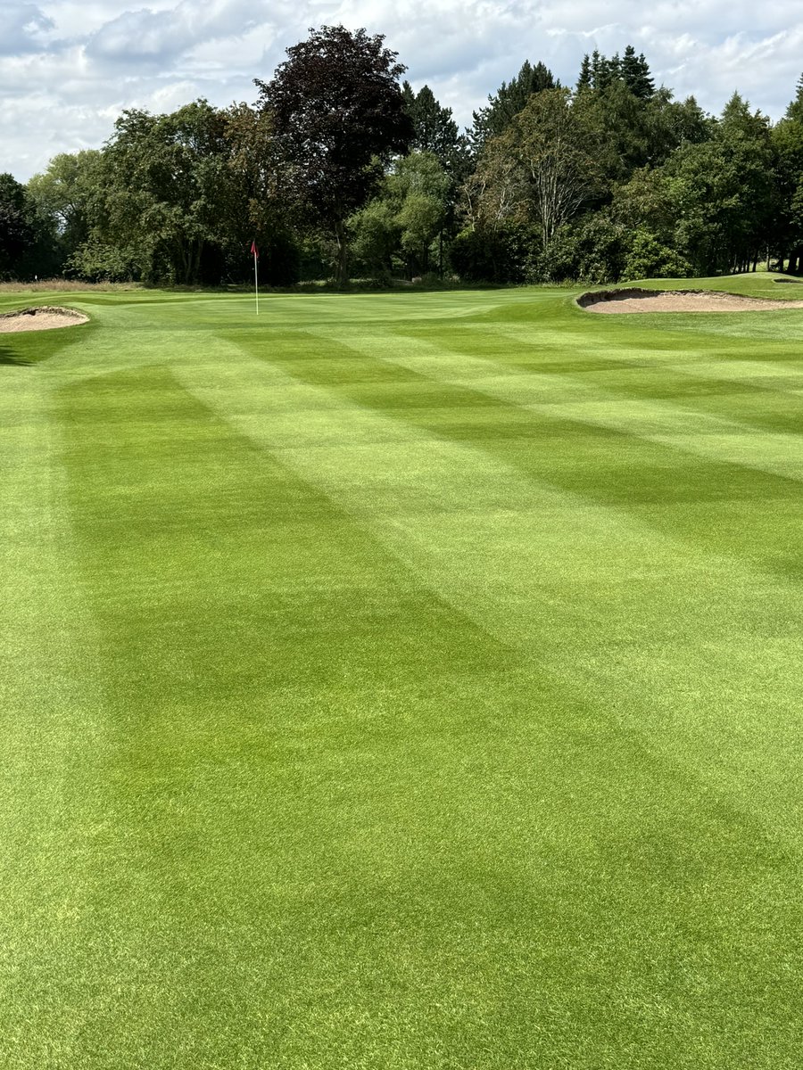 Chorlton Greens tweet media