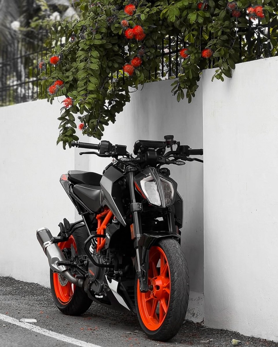 Bikeporn1000's tweet image. #ktm #flashyfriday