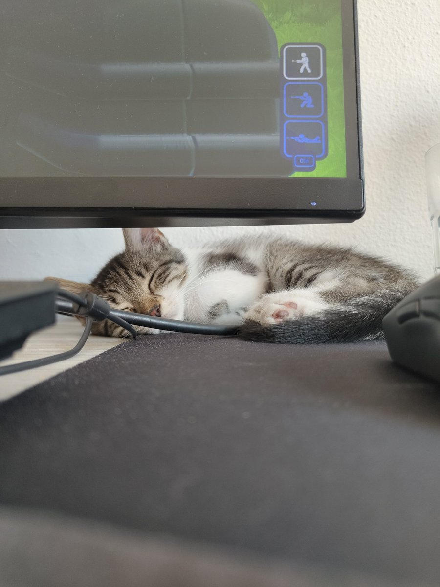 ostunb's tweet photo. Rangu, Power Wash Simulator y un Kiwi mimiento https://t.co/awYttmk3Ym