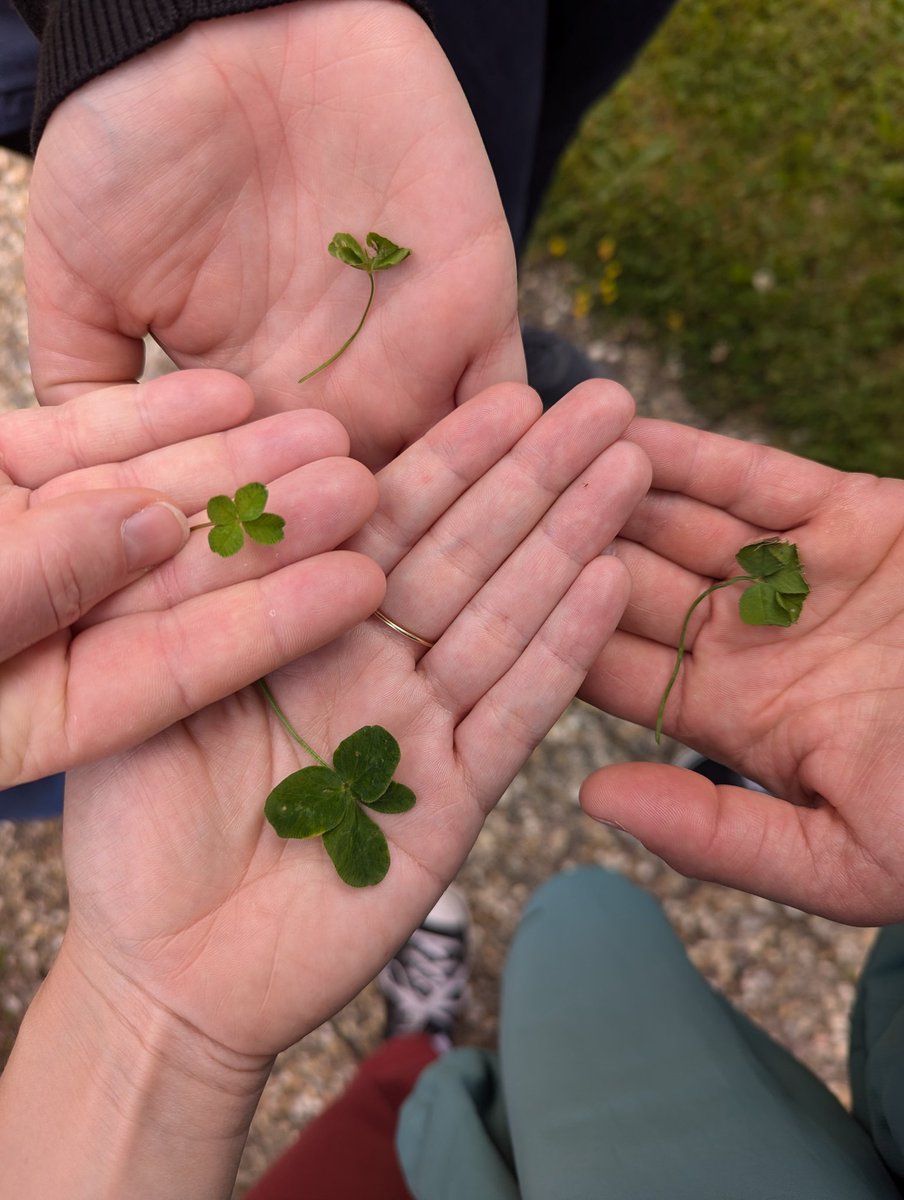 Sarah Courbier (@scourbier.bsky.social) tweet media