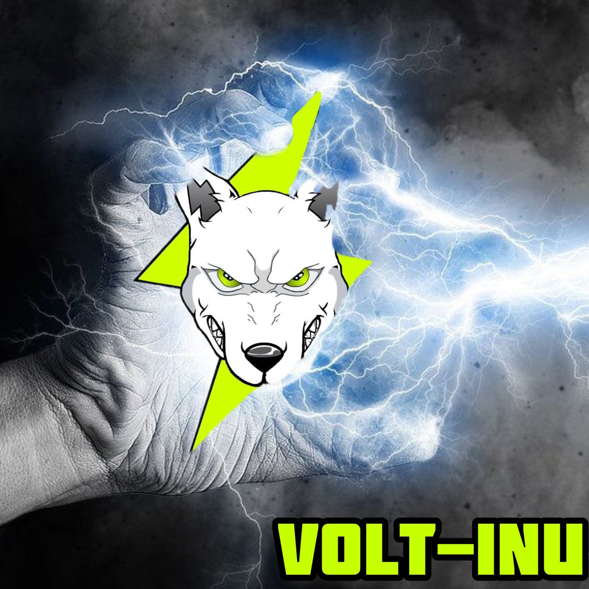 wHy_m00n_sEr's tweet photo. They will feel the voltage ⚡️#VOLT @VoltInuOfficial ⚡️💎🖐🏽🚀🌓 https://t.co/IwOTF9XRnB