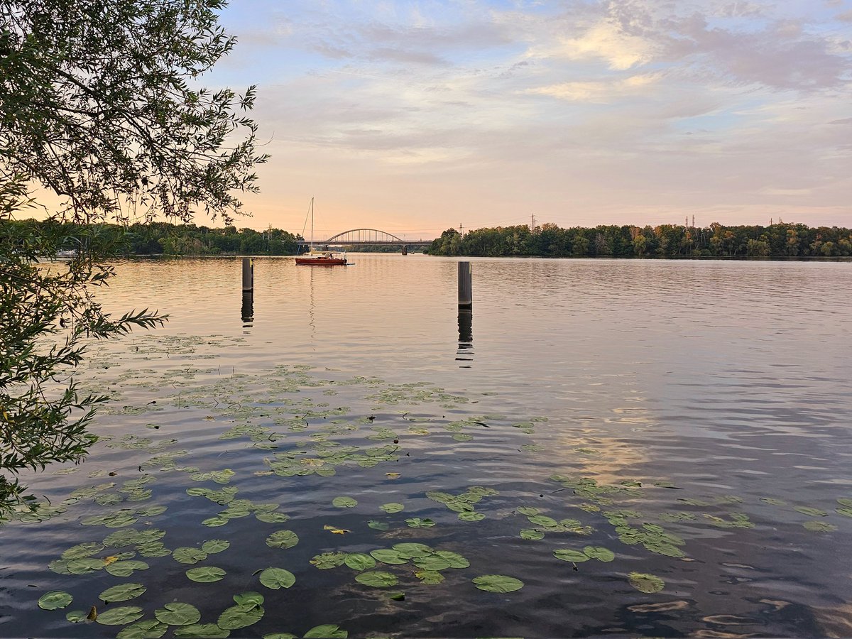 #EmmyNoether Annual Meeting 2024 on the shores of Templiner See.  It is a great opportunity and very inspiring to exchange ideas with the other "Emmys" in various disciplines. 
Many thanks to the #dfg <a href="/dfg_public/">DFG public | @dfg_public@wisskomm.social</a> I am very happy to be part of this great community!
#Neuropathology