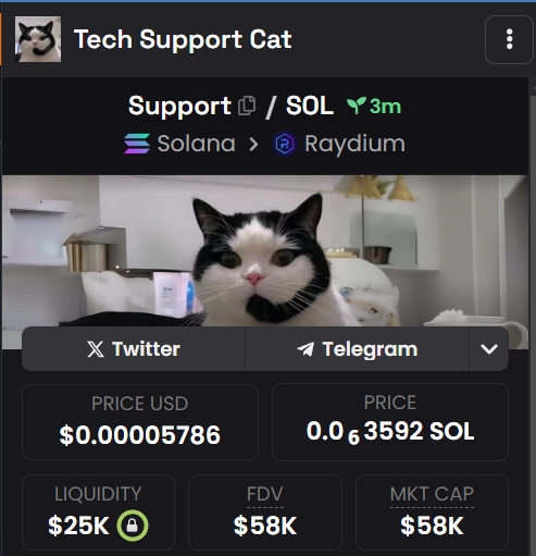 SupportCat_Sol's tweet photo. WE JUST HIT RAYDIUM. A FEW TECHNICAL ISSUES BUT WE HERE ... *MEOW*

CA : 6nkQmcwMniskg8wfFebSiYe2se6719TbtgqyEqNZpump https://t.co/M5UTTMlGI9