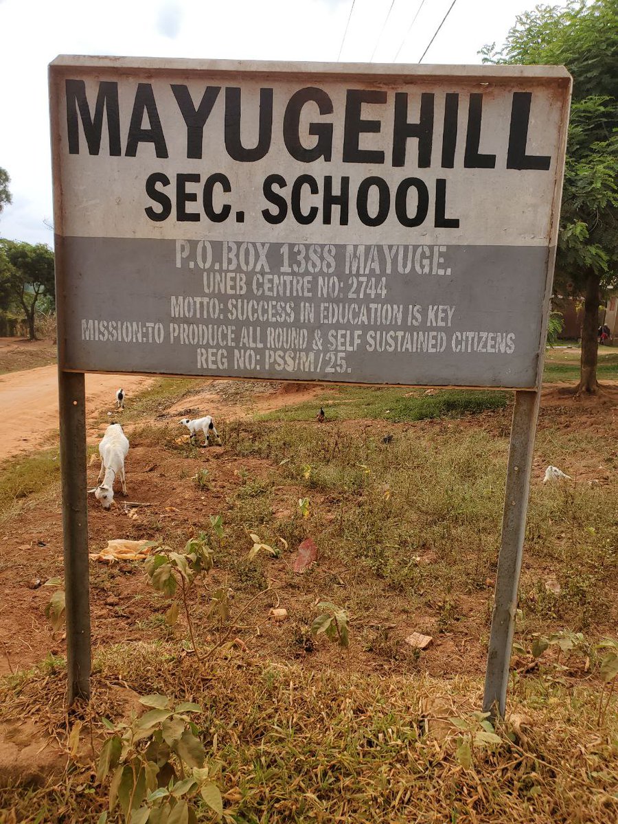 Cty_Africa's tweet photo. In collaboration with @Solar_FND, we are conducting a baseline survey to assess students' knowledge of renewable energy and solar power at our #Eshule pilot school.
#SustainabilityEducation
#RenewableEnergy
#CTYAfrica https://t.co/thb4UPPns8