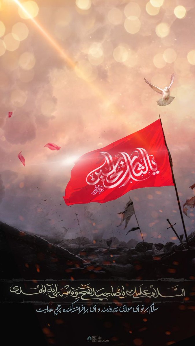 آقـای سـاده ☫ tweet media