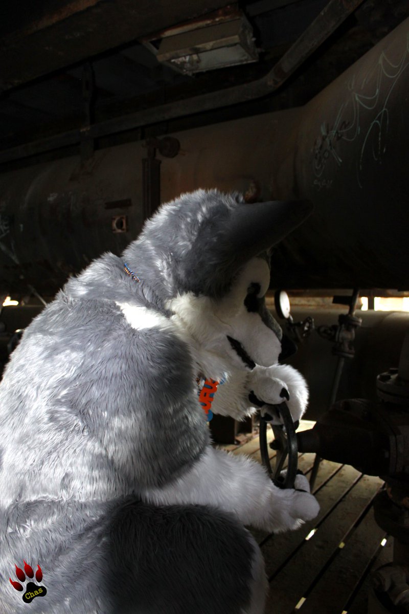 throwback to our visit to Lanschaftspark Duisburg Nord - a landscape parc on the premises of a (now defunct) steelworks in the Ruhr area in Germany

📸 <a href="/PupchasAD/">PupchasAD 🔜 GBUK/Folsom (Bluesky and Mastodon)</a>

#fursuit #fursuiter #fursuiteveryday #industriekultur #duisburg #LaPaDu #industrial #history #furrytravels